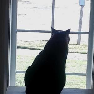 Meet your Posher, Marcie